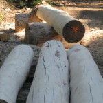 Logs Prior to Instal copy